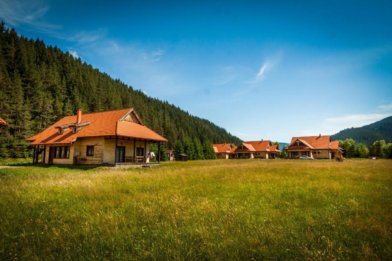 Pensiunea Sapte Flori Gheorgheni  Exterior foto